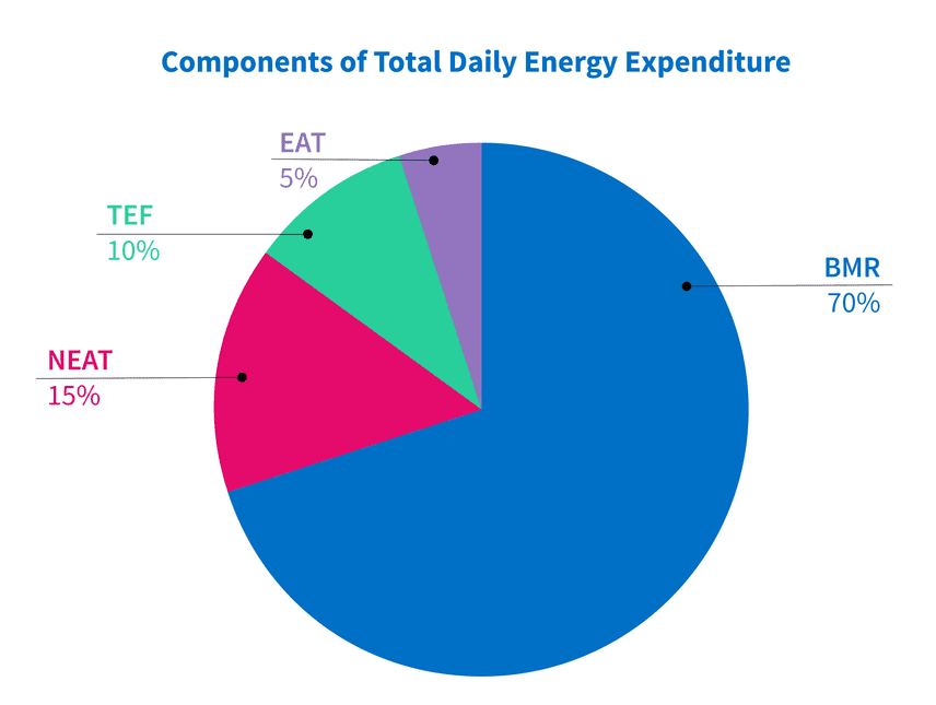 figure 2 components pie chart 01 figure 2 components pie chart 01