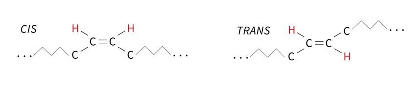 figure 5 01 figure 5 01
