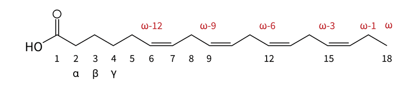 figure 6 01 figure 6 01