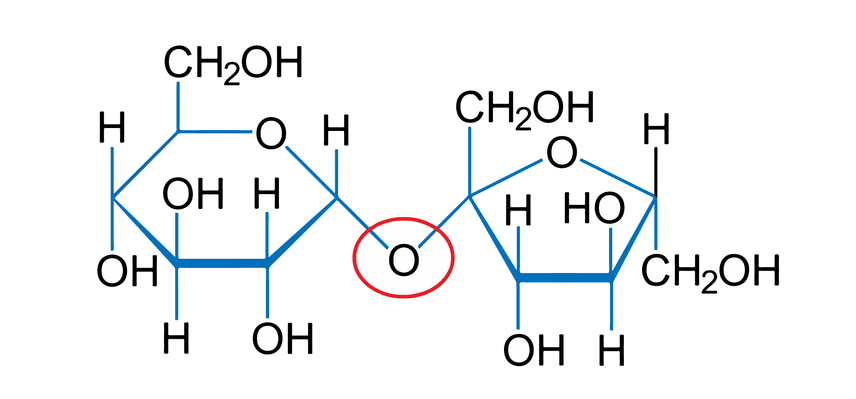 figure 8 01 figure 8 01