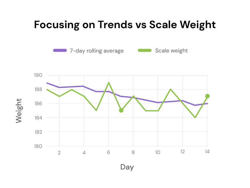 focusing on trends 01 focusing on trends 01