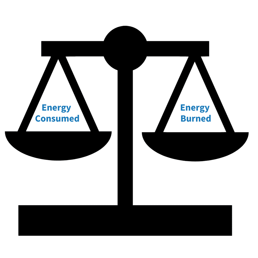 figure 1 energy balance figure 1 energy balance